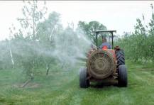 101309 Hartman apple-spraying orchard - haney's sprayer