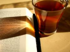C:\Users\Jovana\Desktop\New folder\kombucha6.jpg