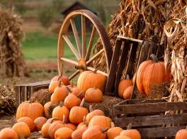 Autumn_Harvest